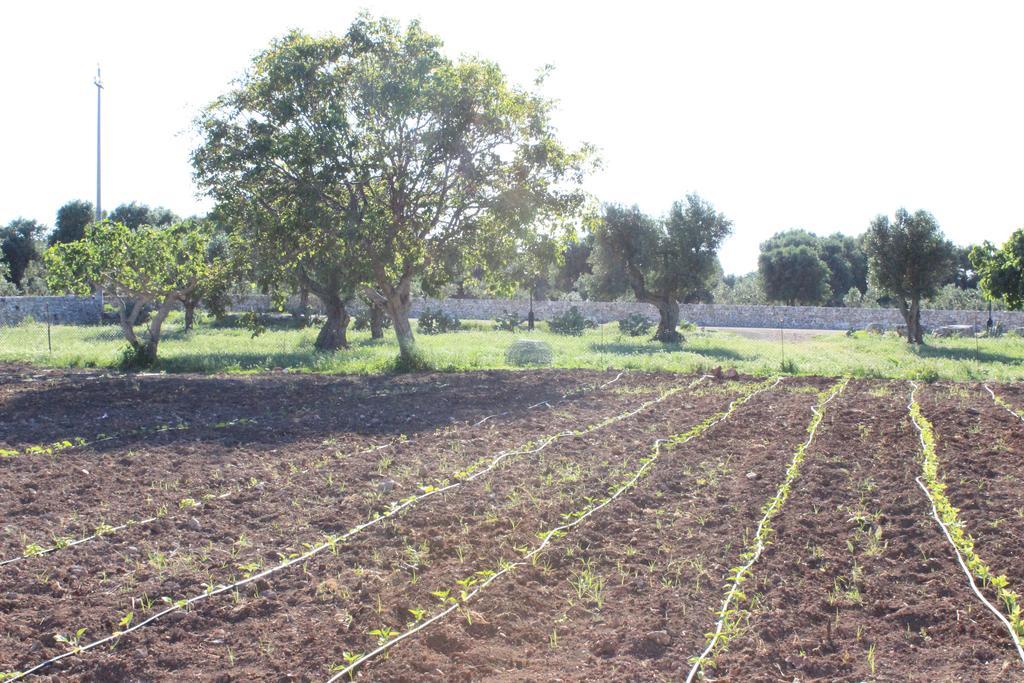 Masseria Valente Ostuni Ngoại thất bức ảnh