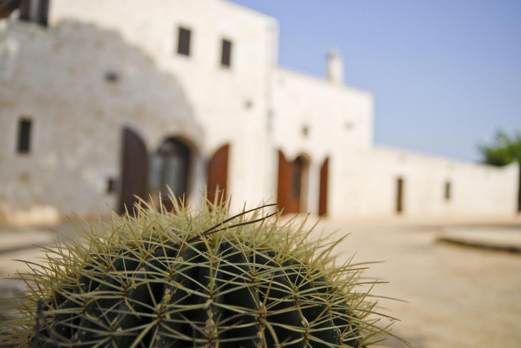 Masseria Valente Ostuni Phòng bức ảnh